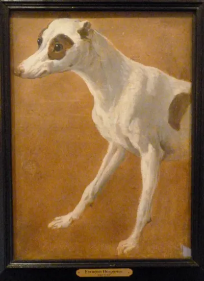 Avant de chien