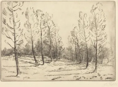 Avenue of Poplars (L'allee de peupliers)