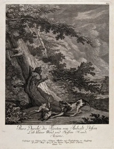 Avions, the Duke of Anhalt-Dessau's favourite greyhound