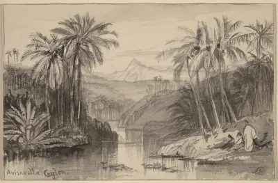 Avisavella, Ceylon