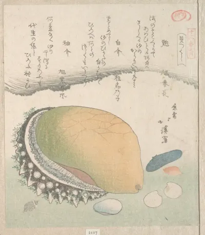 Awabi (Ear-Shell) and Various Shells