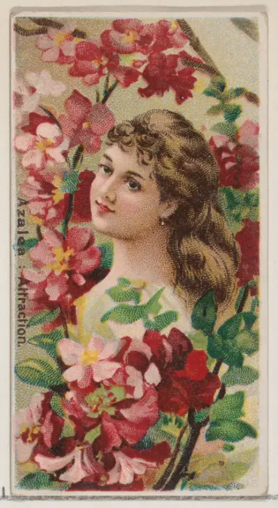 Azalea: Attraction, from the series Floral Beauties and Language of Flowers (N75) for Duke brand cigarettes