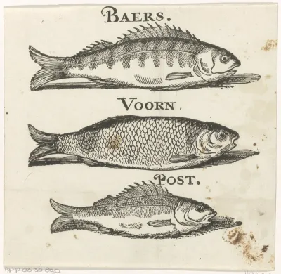 Baars, een voorn en een pos