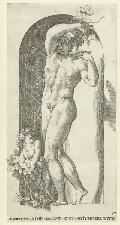 Bacchus met drinkschaal en wijnranken