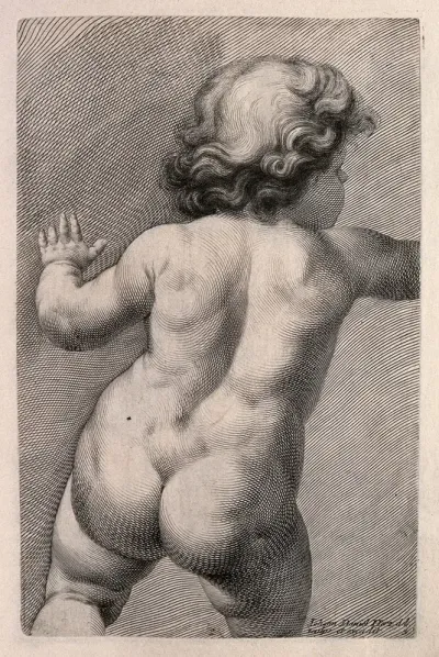 Back of a naked child