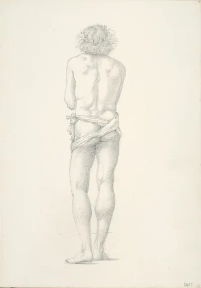 Back View of Standing Male Nude