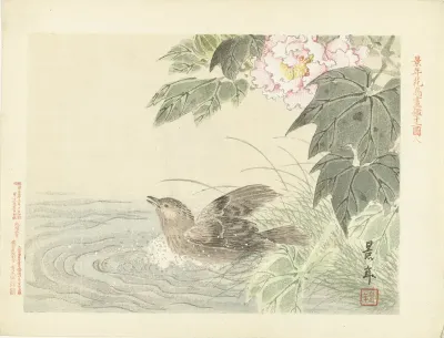 Badende vogel bij roze bloem