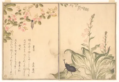 Bagworm (Minomushi); Horned Scarab Beetle (Kabutomushi), from the Picture Book of Crawling Creatures (Ehon mushi erami)