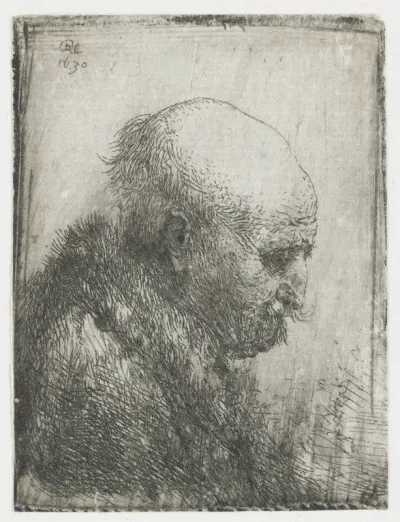Bald-headed Man in Profile
