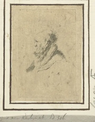 Bald old man with a short beard, in profile right