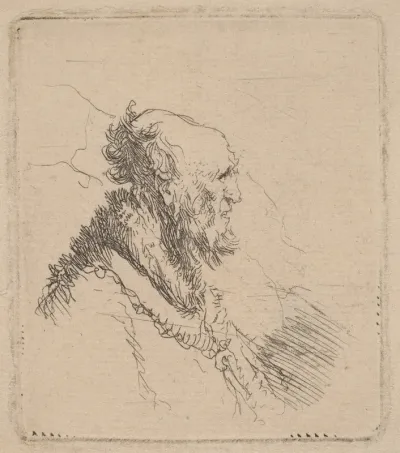 Bald Old Man with a Short Beard in Profile