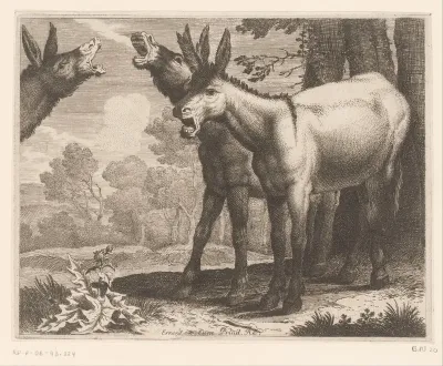 Balkende ezels