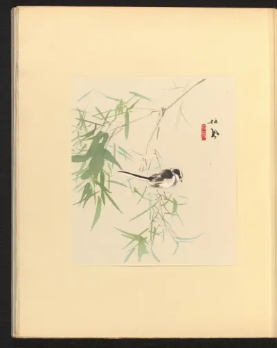Bamboe en jonge vogel