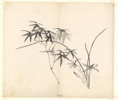 Bamboe en Orchideeёn