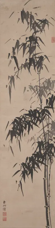Bamboo