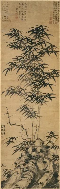 Bamboo and rock