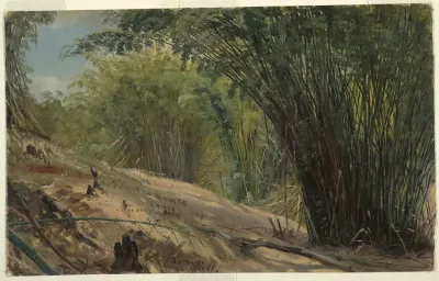 Bamboo Grove, Jamaica
