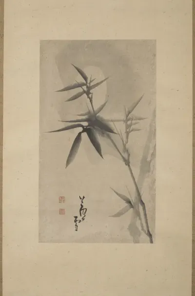 Bamboo under the Moonlight