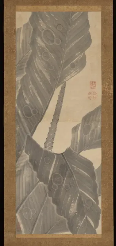 Banana Leaves