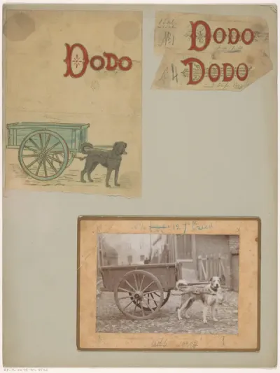 Bandontwerpen voor: Johanna R. Peaux, Dodo, 1897