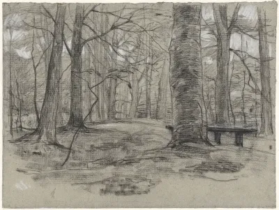 Bankje in het bos