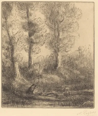 Banks of the Saint-Pre (Rive du Saint-Pre)
