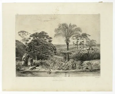 Barbacena, plate 18 from Landscapes, volume 1 of Voyage pittoresque dans le Brésil