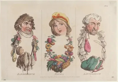 Barberorum, Flora, Lawyerorum