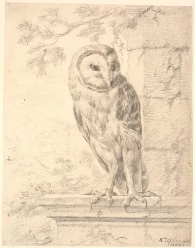 Baron von Stoschs ugle