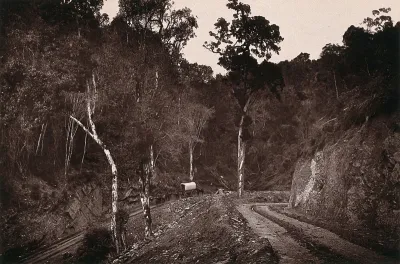 Barrington's Mountain Pass, South Africa: a road with a wagon
