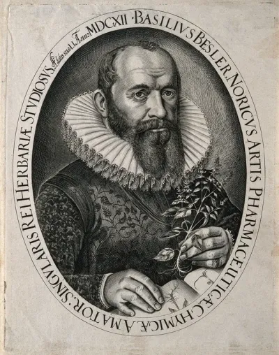 Basilius Besler