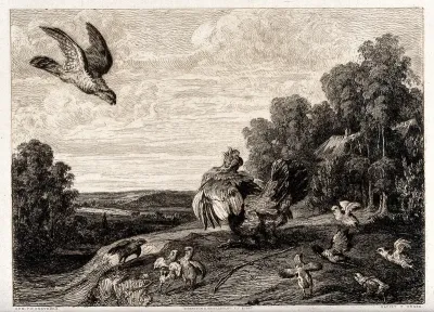 Battling fowl: birds of various sizes are shown fighting, while a bird of prey swoops towards a chicken