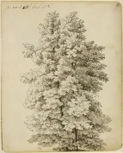 Baumgruppe
