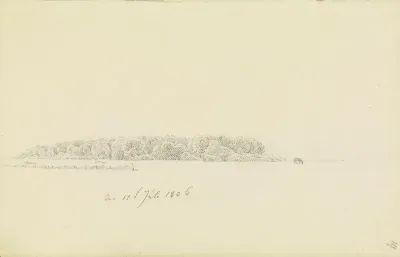 Baumlandschaft mit grasendem Pferd