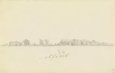 Baumlandschaft mit Haus und Pferd