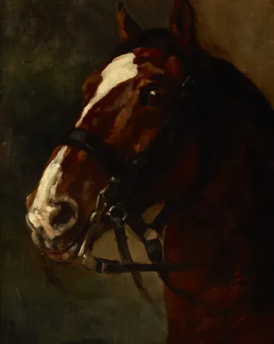 Bay Horse's Head