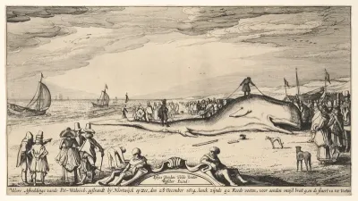Beached Sperm Whale at Noordwijk, 28 December 1614