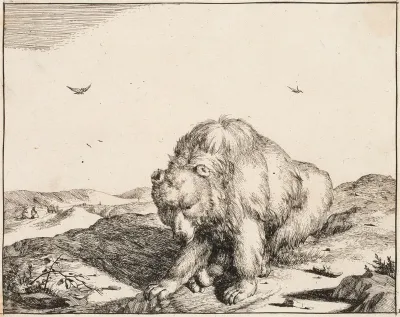 Bear