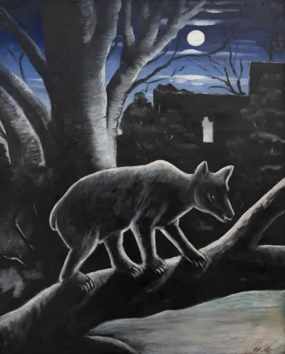 Bear in the moonlit night