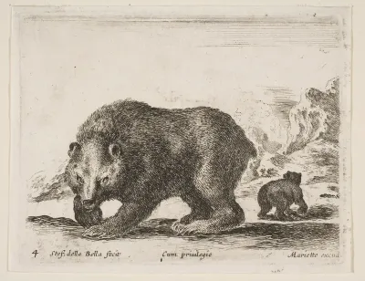 Bear, plate 4 from "Various Animals" (Diversi Animali)