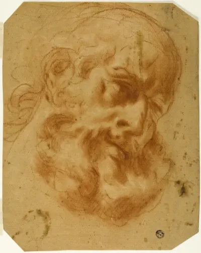 Bearded Head