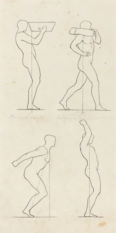 Bearing a Weight; Preparing to Jump, and Alighting