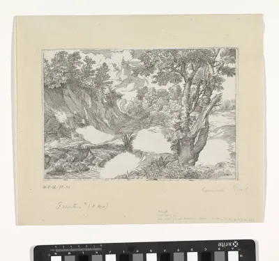 Bebost landschap met waterval