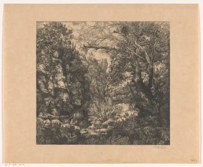 Bebost rotslandschap met kloof