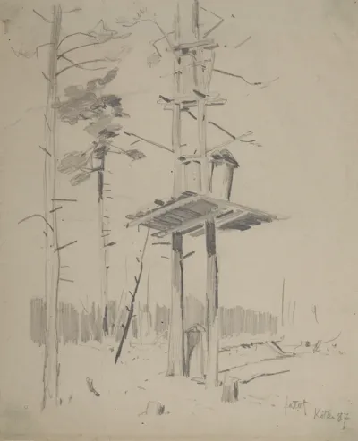 Beehives on scaffolding
