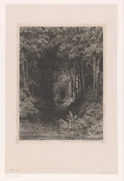 Beek door het bos