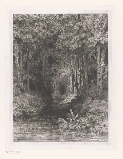 Beek door het bos