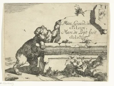 Beer bij stenen muur