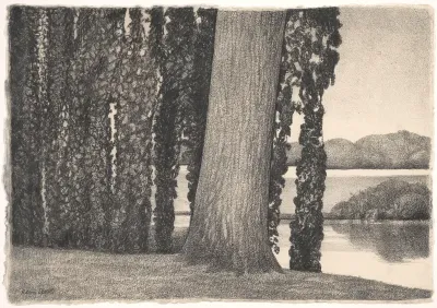 Begroeide bomen in Dordtwijk
