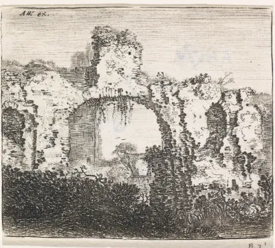 Begroeide ruïne